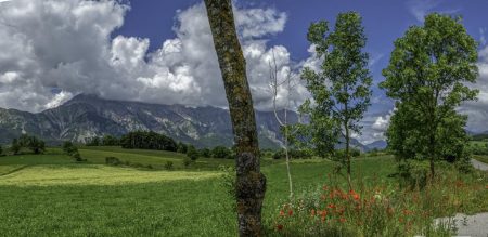 Environnement de notre pique-nique (SP)
