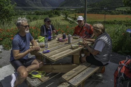 Un coin de nature pour le pique-nique (SP)