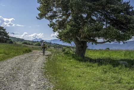 Sur le chemin caillouteux du col de Serre la Faye (SP)