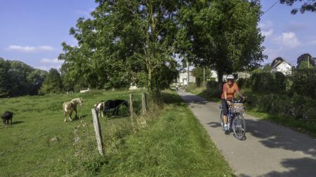 Petite route de campagne (MF)