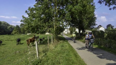 Petite route de campagne (MF)