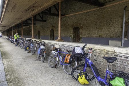 Bien en ligne nos fiers destriers (PM)