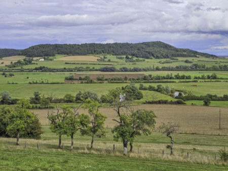 Vue autour de Domrémy (MLC)
