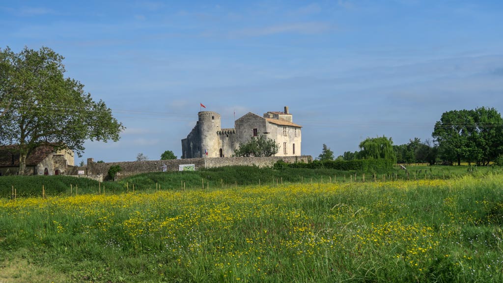 Le château de Mélusine à Saint-Jean-d'Angle (PP)