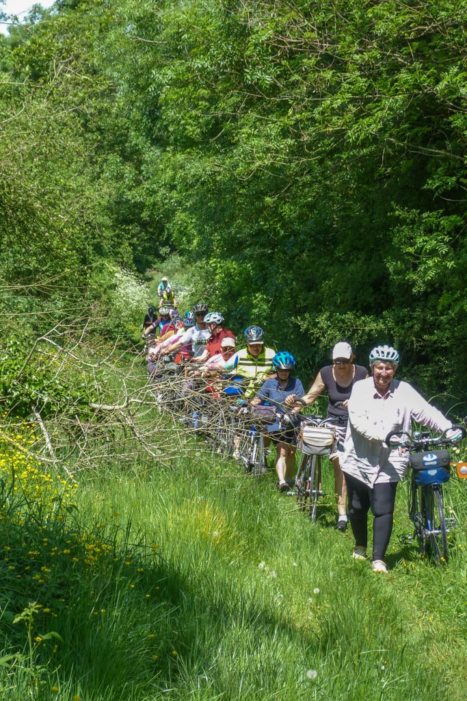 un passage herbeux (PM)