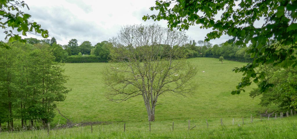 En montant vers Douville (MPA)