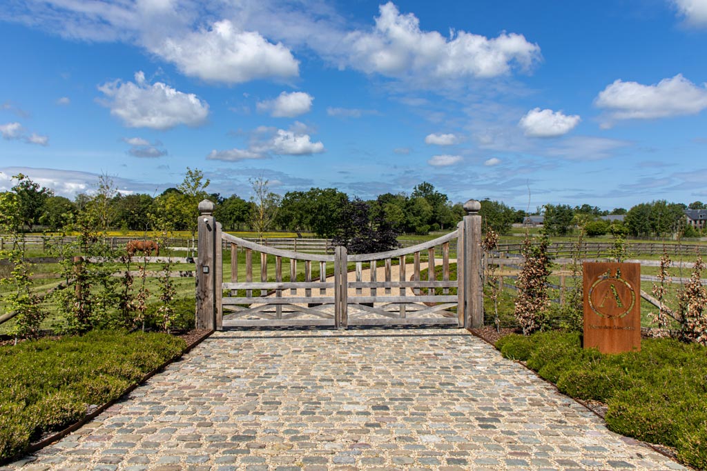 Des haras en veux tu en voilà (PHM)