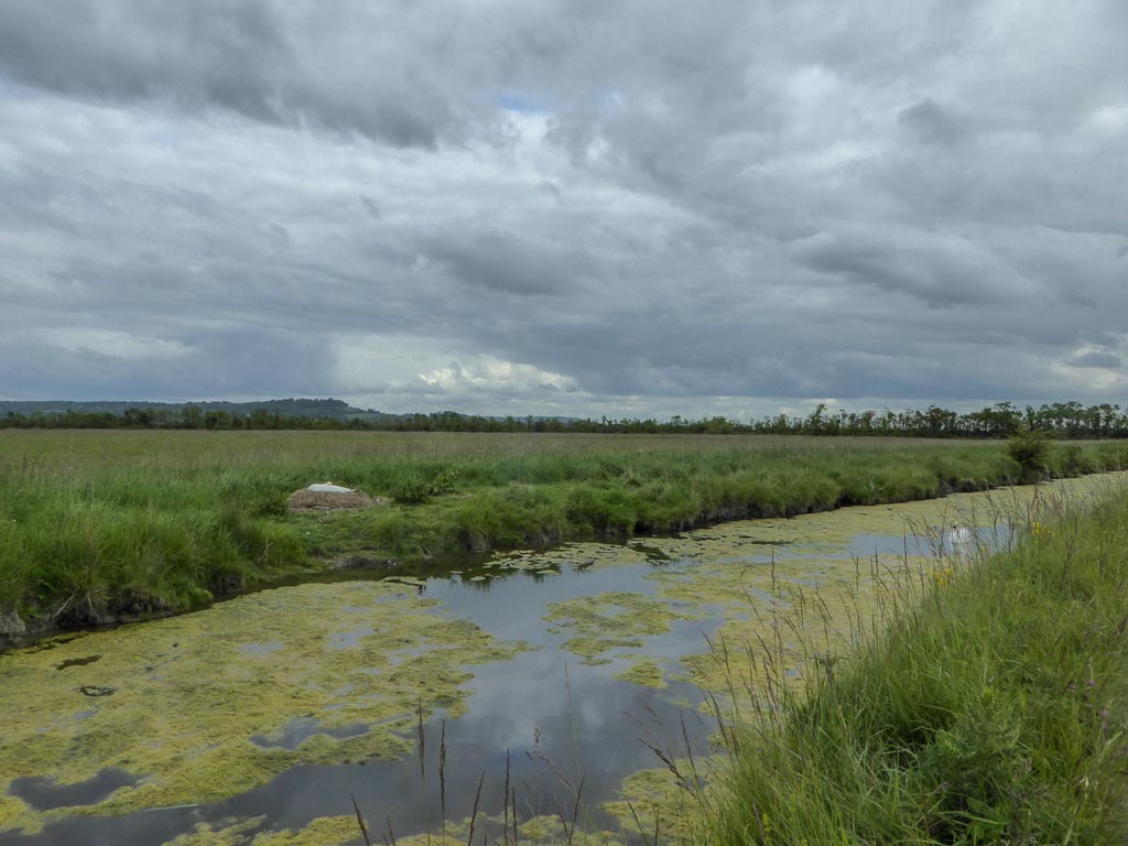 Marais de la Dives (MF)