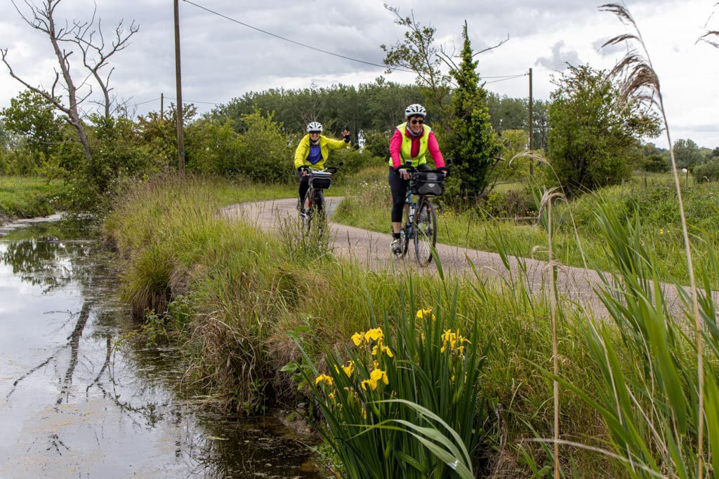 Sur le Chemin de l’Anguille (PHM)