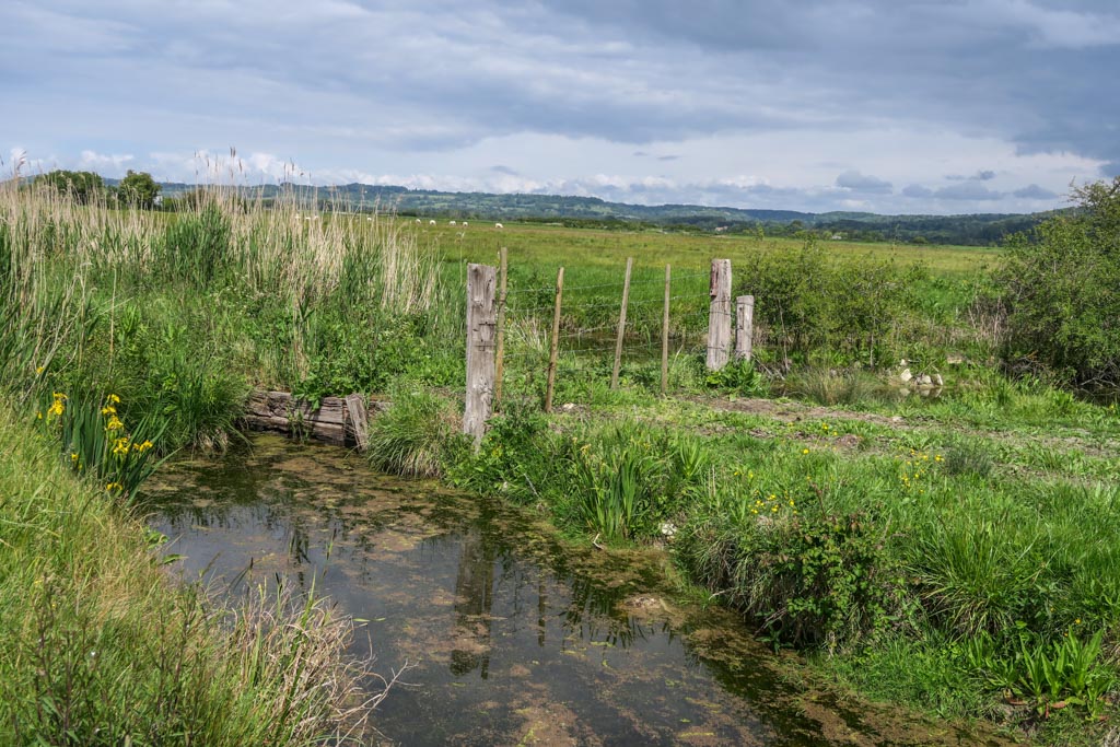 Le marais de la Dives (PP)