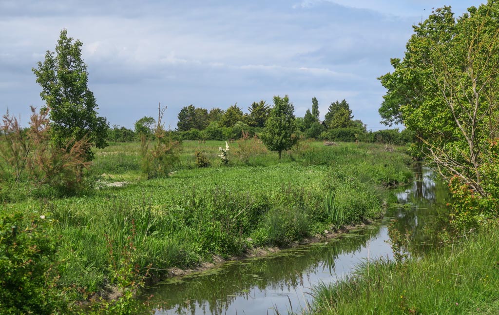 Le marais de la Dives (PP)