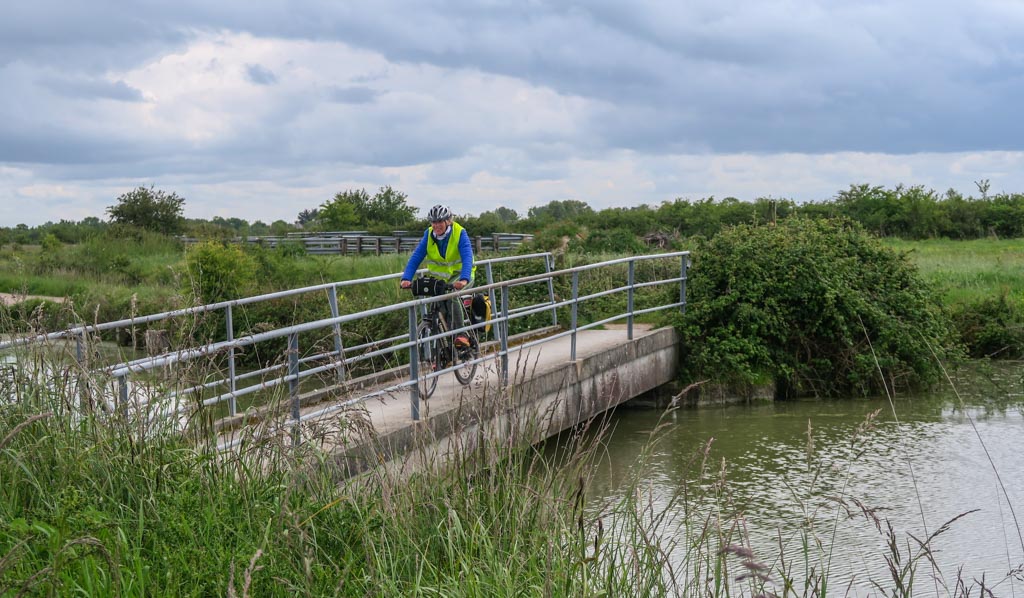 Dans le marais de la Dives (PP)
