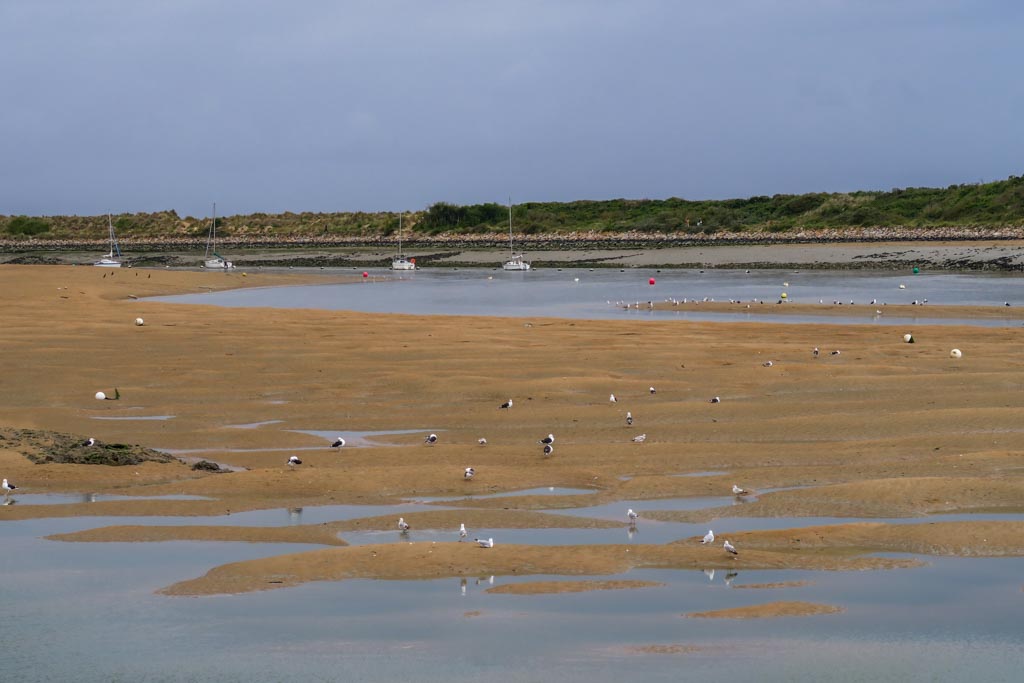 Dernier regard vers la mer (PP)