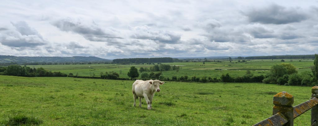 La verte Normandie (PP)