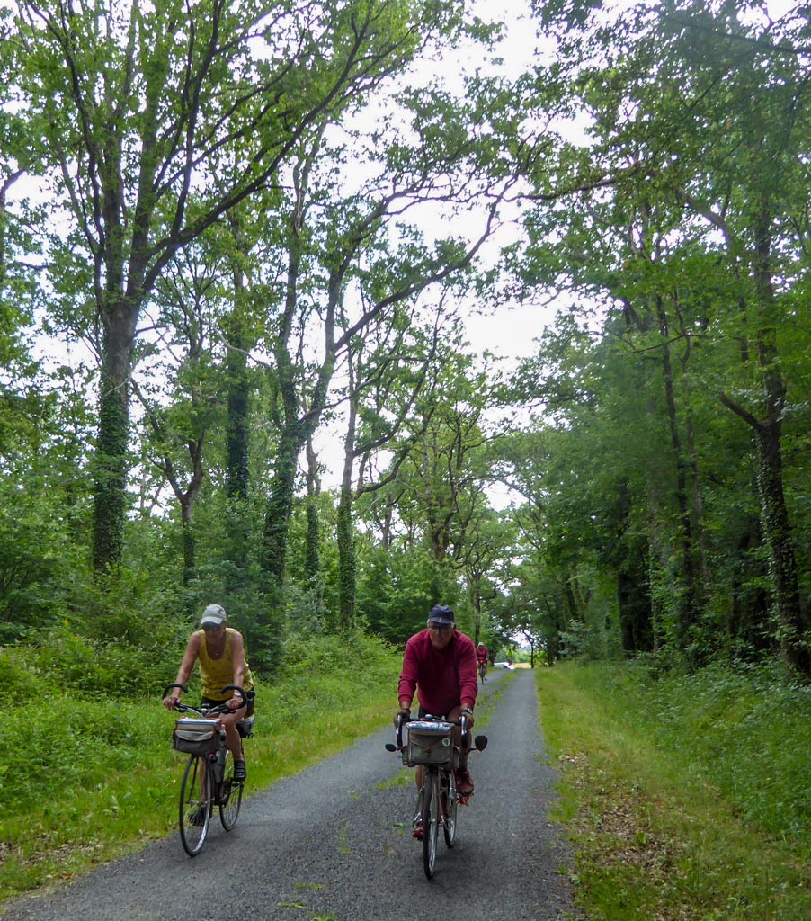 De jolies routes forestières ombragées (MF)