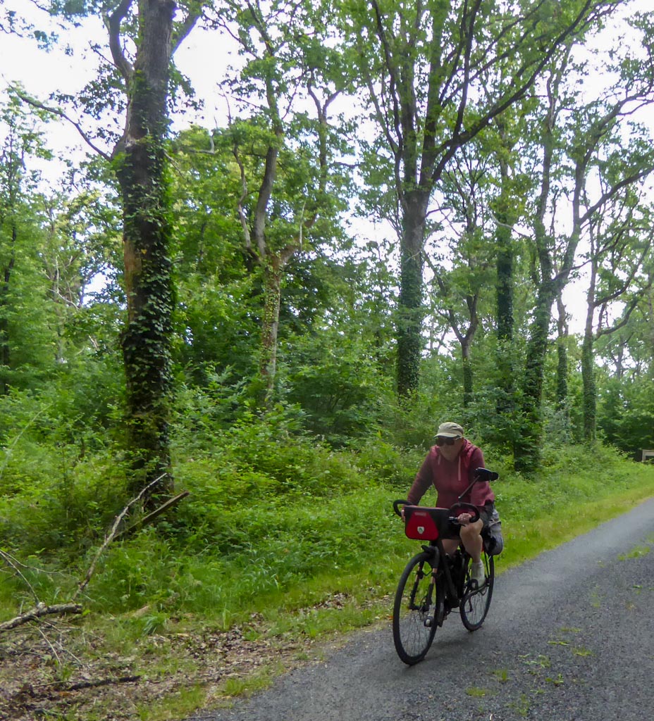 De jolies routes forestières ombragées (MF)