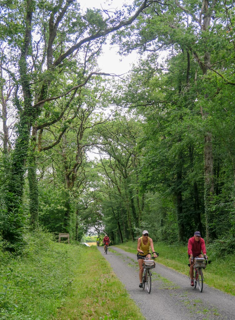 Sous une voute de verdure (PP)