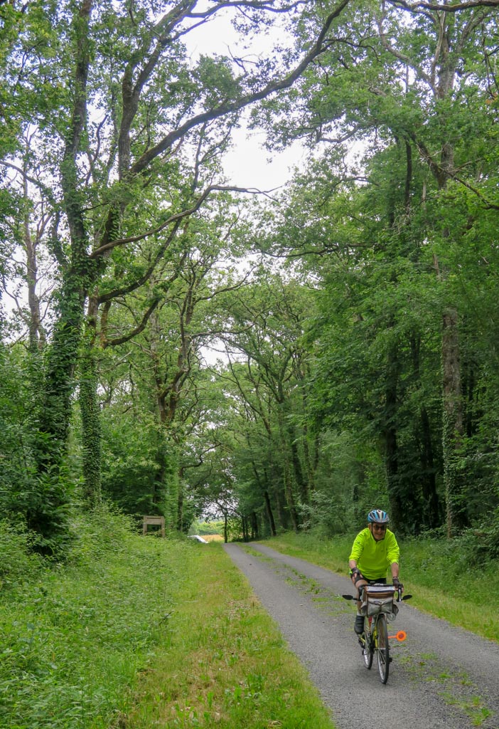 Sous une voute de verdure (PP)